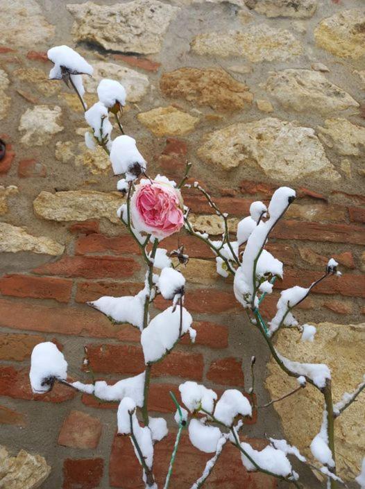 Agriturismo Ardene Villa Montepulciano Stazione Dış mekan fotoğraf